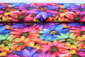 Dresówka kolorowe kwiatki