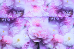 Dresówka liliowe kwiaty